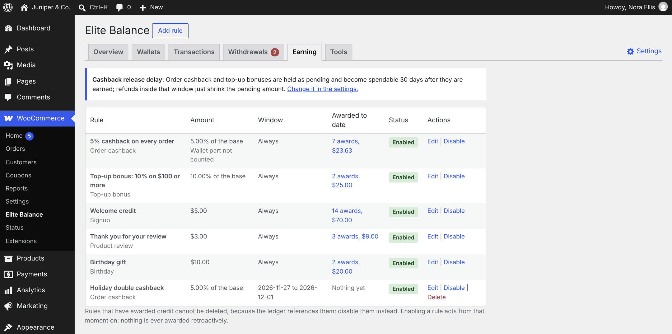 The Earning tab: five rules with amounts, windows and awarded-to-date counters, under the 30-day release delay notice.