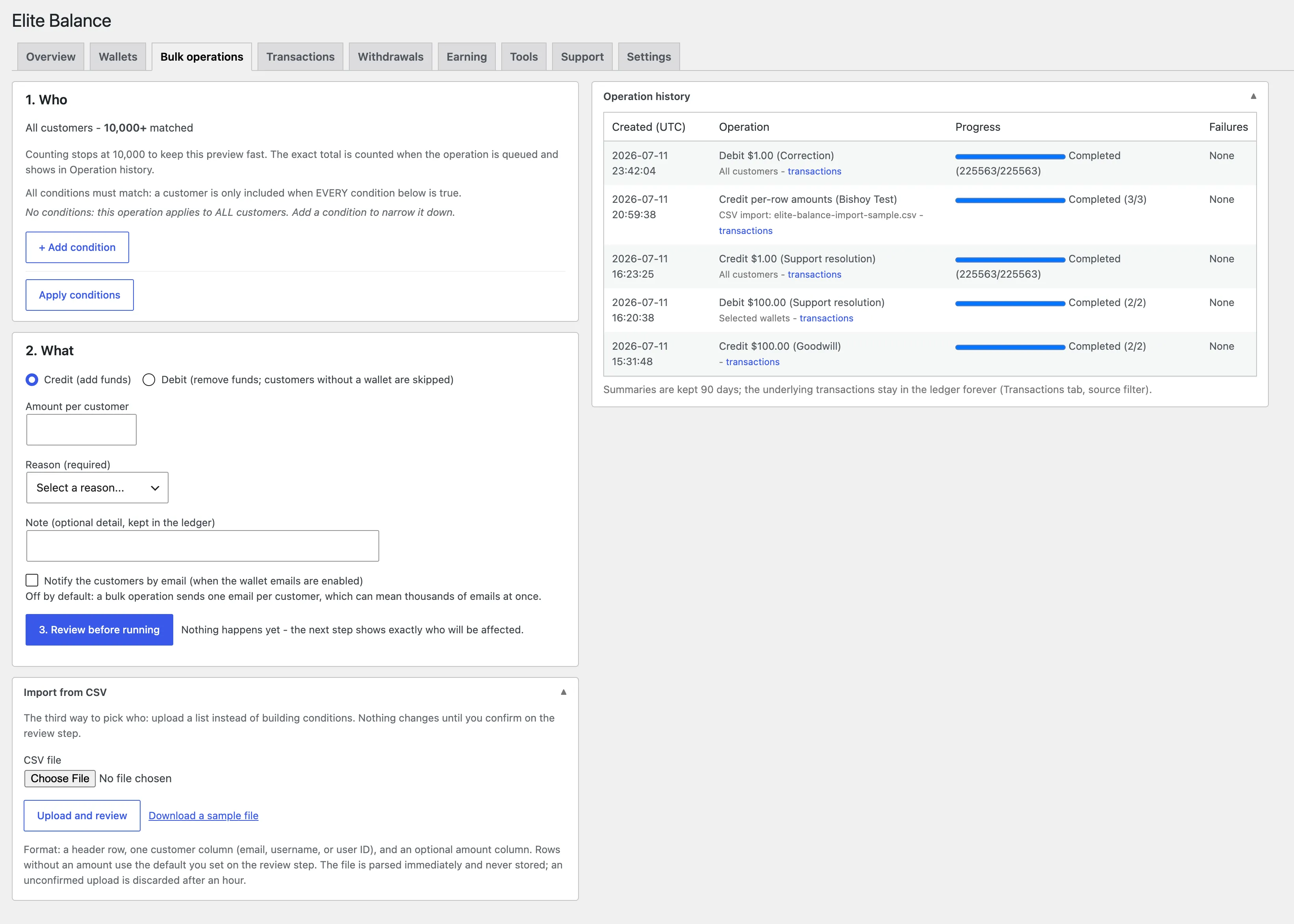 The Bulk operations tab: the audience builder and CSV import beside the operation history